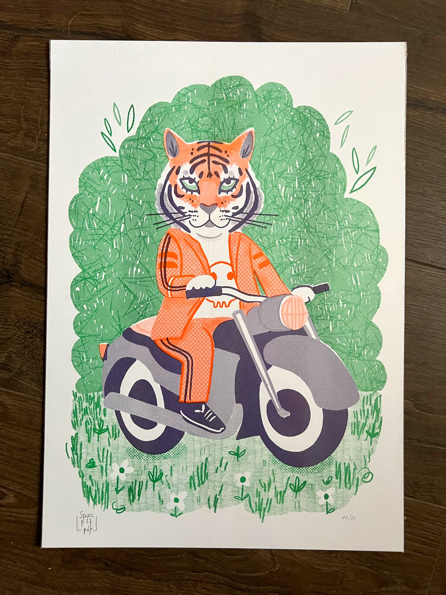 Tiger moto